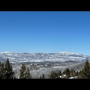 Meet your Posher, Tami